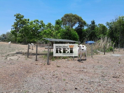 Fazenda em Zona Rural, São Valério da Natividade/TO de 150m² 3 quartos à venda por R$ 5.589.000,00