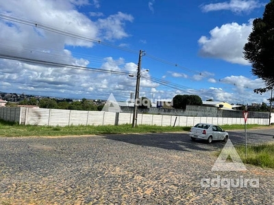 Terreno em Jardim Carvalho, Ponta Grossa/PR de 10m² para locação R$ 6.500,00/mes