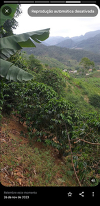 Terreno Em Vargem Alta Es Aproximadamente 2 Equitares Terra