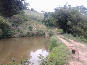 Sítio A Venda Em Piracaia- Bairro Barrocão - 4,8 Alqueires