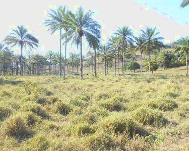 Fazendinha município Aratuípe -Bahia