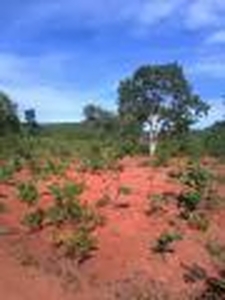 Vendo fazenda com 241 hectares no norte de Minas Gerais