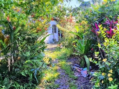 Terreno murado, com diversas plantações