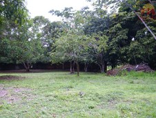 Terreno à venda no bairro Fazendinha em Macapá