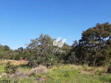 Terreno à venda no bairro Parque Valinhos em Valinhos