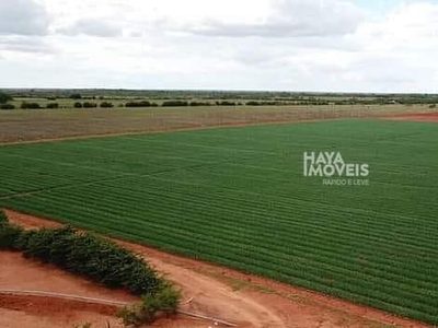 Fazenda em Zona Rural, Irecê/BA de 10m² à venda por R$ 67.499.000,00