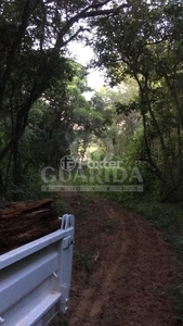 Fazenda / Sítio / Chácara 1 dorm à venda Estrada São Caetano, Lami - Porto Alegre