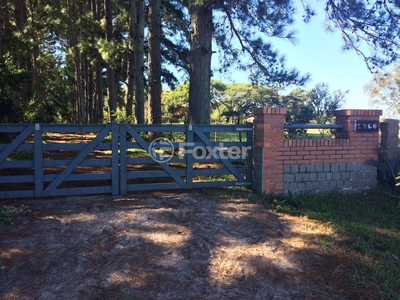 Terreno 3 dorms à venda Rodovia Frei Pacífico, Centro - Itapuã