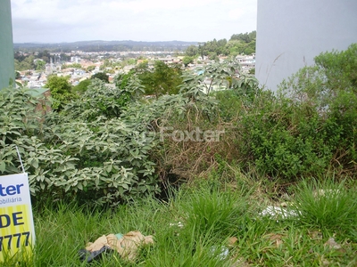 Terreno à venda Avenida Altos do Santa Rita, Hípica - Porto Alegre