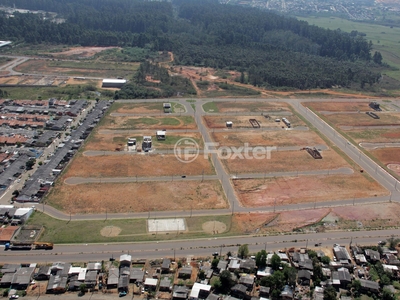 Terreno à venda Avenida Hispânica, Guajuviras - Canoas