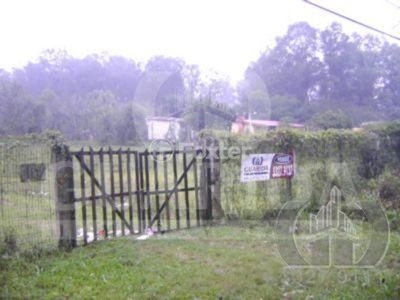 Terreno à venda Estrada Afonso Lourenço Mariante, Belém Velho - Porto Alegre