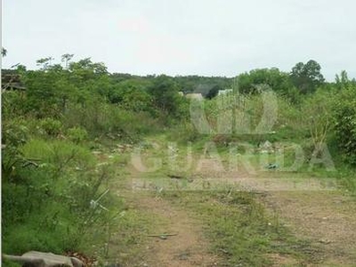 Terreno à venda Estrada Campo Novo, Ipanema - Porto Alegre