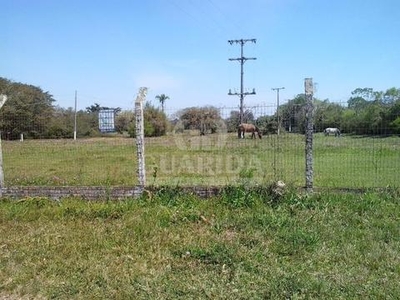 Terreno à venda Estrada da Ponta Grossa, Ponta Grossa - Porto Alegre