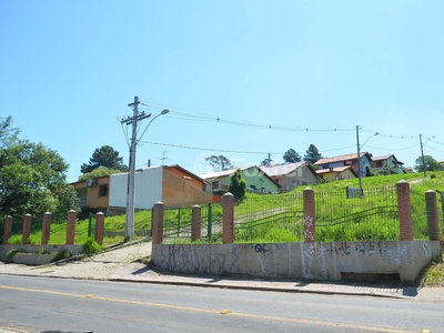 Terreno à venda Estrada João Passuelo, Vila Nova - Porto Alegre