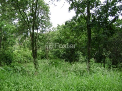 Terreno à venda Estrada Maria Altina, Belém Velho - Porto Alegre