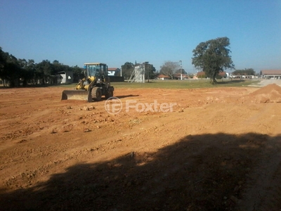 Terreno à venda Rodovia SC-434, Campo Duna - Garopaba