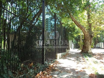 Terreno à venda Rua Apolinário Porto Alegre, Vila Conceição - Porto Alegre