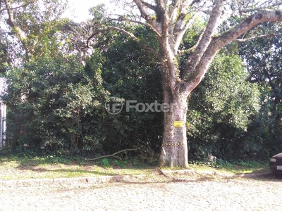 Terreno à venda Rua Comendador José Júlio de Mello, Teresópolis - Porto Alegre