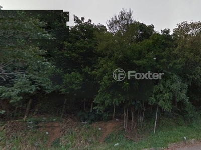 Terreno à venda Rua Conselheiro Xavier da Costa, Ipanema - Porto Alegre