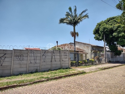 Terreno à venda Rua das Caravelas, Vila Ipiranga - Porto Alegre