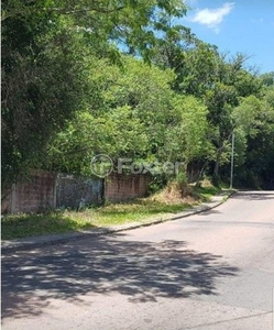 Terreno à venda Rua Dolores Duran, Lomba do Pinheiro - Porto Alegre