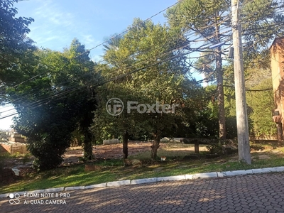 Terreno à venda Rua Hipólito da Costa, Santa Tereza - Porto Alegre