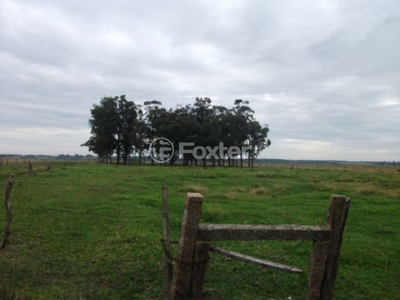 Terreno à venda Rua Rincão da Querência, Santa Isabel - Viamão