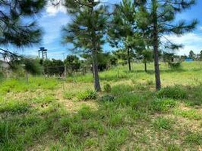 Terreno à venda Rua S, Águas Claras (Distrito) - Viamão