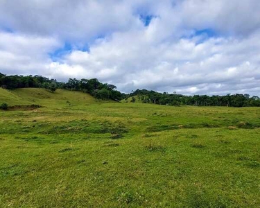 Terreno Rural à Venda para Pecuária de 44 hectares em Presidente Nereu Santa Catarina