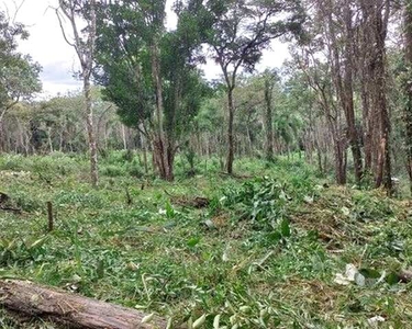 25 Lotes em Ibiúna. Prox a Represa 1MCJNVD