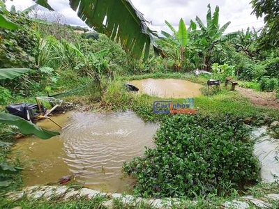 Chácara à venda no bairro Vila Maria Regina - Juatuba/MG