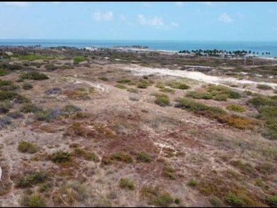 Terreno à venda no bairro Maceió em Fortim