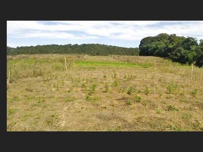 Crie seu Próprio Espaço em Cotia: Terreno Disponível para Venda!