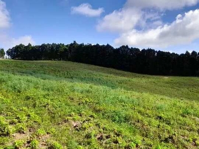 Lote\Terreno para sua chácara em área verde!!