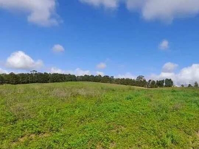 Lote/Terreno para venda com 500 metros quadrados em Centro (Caucaia do Alto) - Cotia - SP