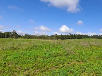 Lote/Terreno para venda com 500 metros quadrados em Centro - Cotia - SP