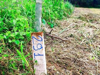 Lote/Terreno para venda tem 500 metros quadrados em Centro (Caucaia do Alto) - Cotia - SP