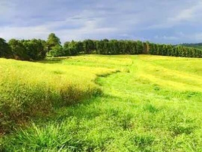 Lote/Terreno para venda tem 500 metros quadrados em Centro (Caucaia do Alto) - Cotia - SP