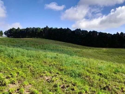 Lote/Terreno para venda tem 500 metros quadrados em Granja Carolina - Cotia - SP