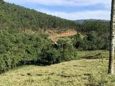 Lotes á venda com ótima topografia e vista exclusiva para lago