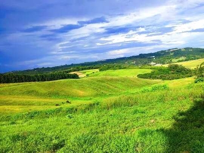 Oportunidade imperdível: Terreno espaçoso e bem localizado aguardando por você em Cotia!