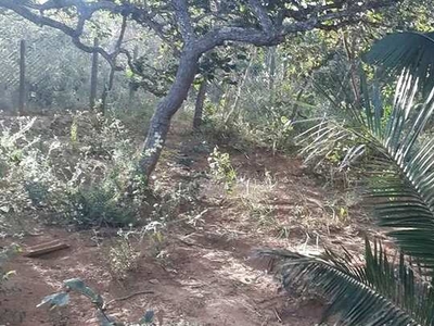 Terreno em planalto rural