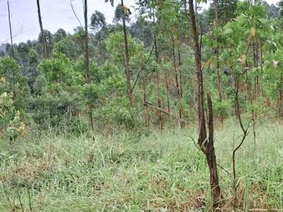 Terrenos e chácaras no Interior liberado pra construir Cd. KAH