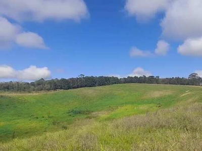 Vendo meu terreno que possui 500 metros quadrados em Centro - Cotia - SP