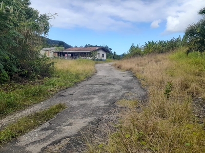 Terreno em Horto Florestal, Ubatuba/SP de 1500m² à venda por R$ 388.000,00