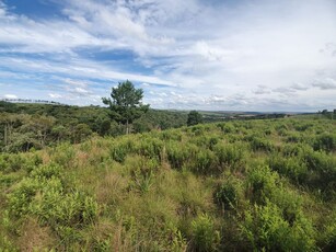 Terreno à venda - Palmeira, Brasil