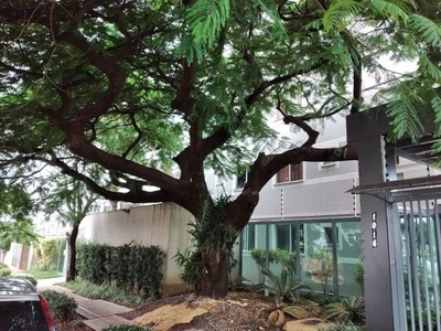 Apartamento à venda - Jardim Alvorada Maringá