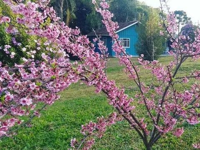 Fazenda / Sítio / Chácara à venda, 5000m² - Zona Rural