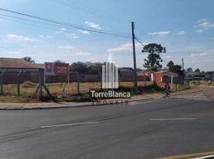 Terreno para alugar, 1000 m² por r$ 5.000,00/mês - uvaranas - ponta grossa/pr