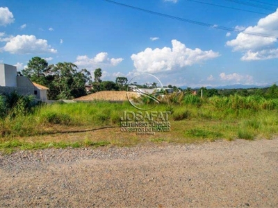 Terreno para venda em quatro barras, jardim pinheiros